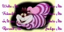treasure cat