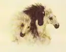 three horses