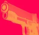 Gun