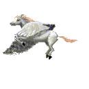 flying horse