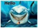Hello