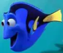 dori 