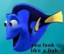 you look like a fish