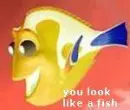 you look like a fish