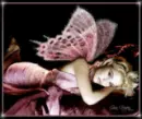 pink fairy