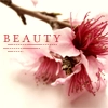 beaty