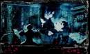nocturnal romance