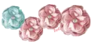 Soft flowers