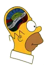homer simpson