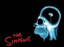 homer simpson