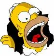 homer simpson