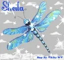 SHEILA