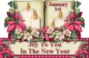 Joy in New Year