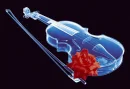 Love is music