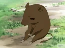 Fruits basket Kagura