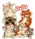 Hello~Kittens
