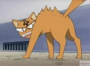 Fruitsbasket Kyo
