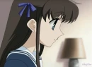 fruits basket tohru honda