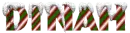 snow candy cane dinah