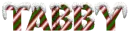 snow candy cane tabby