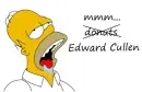 homer drooling