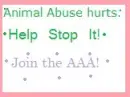 Join the AAA