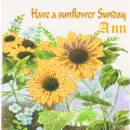 sunflower sunday ann