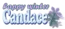 Candace... winter snowflakes