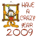 HAVE A CRAZY YEAR 2009