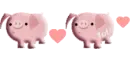 Cute piggies