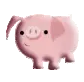 Cute piggy