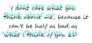 i don't care what you think about me