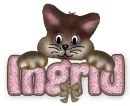 Cat- Ingrid