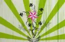 Nautical Star