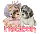 Nadeth
