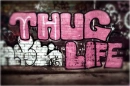 THUG WALLS [: