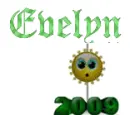 evelyn's 2009 ball