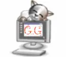 cat on puter
