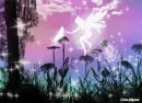fairy land