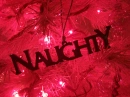 Naughty Christmas 