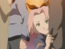 cute little sakura