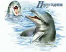 HAPPY DOLPHINS