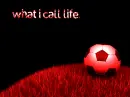 soccer