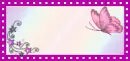 Butterlfy
