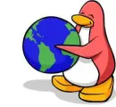 penguin