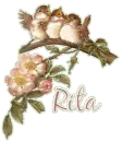 Rita~Birds