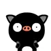 black pig