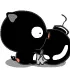black pig