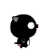 black pig