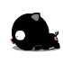 black pig